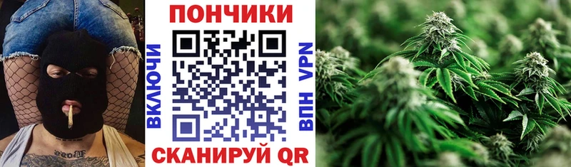 Конопля OG Kush  Нижняя Тура 